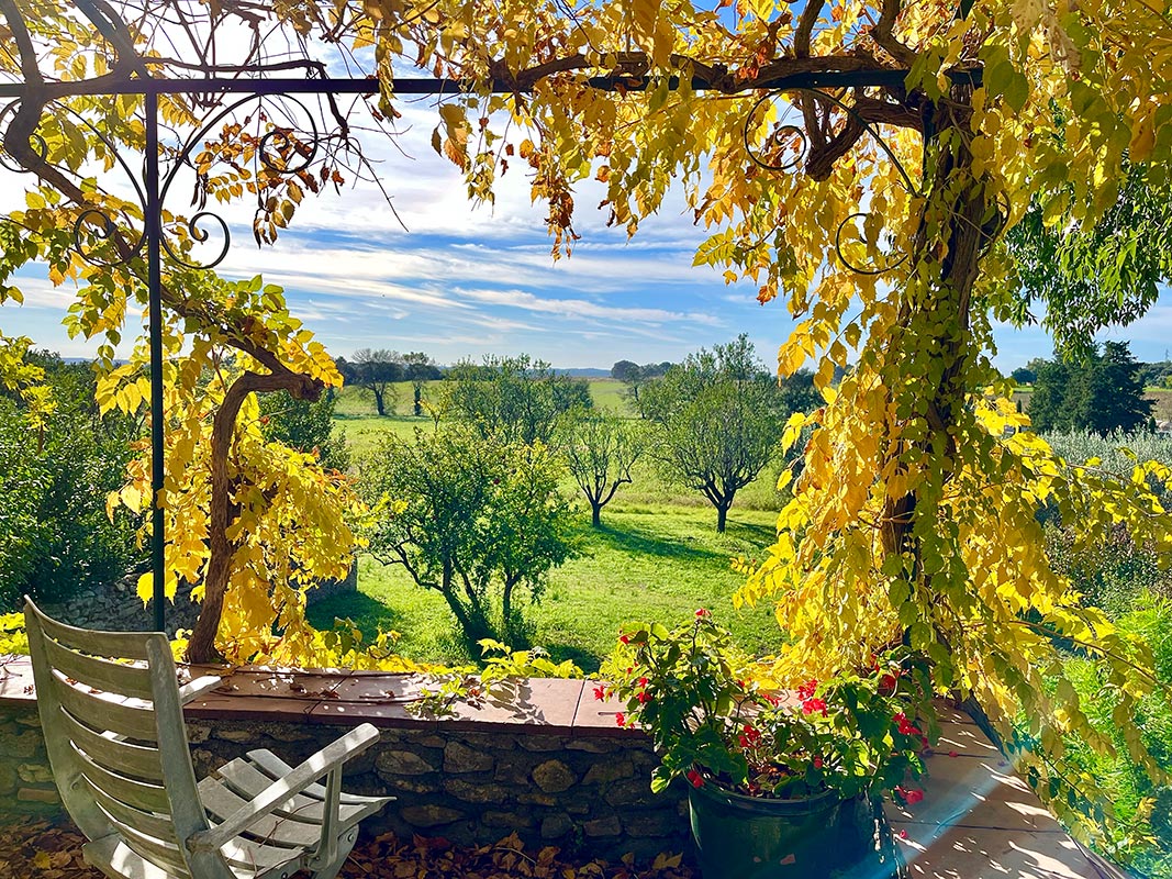 TM Chirac orchard view AAA